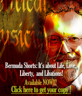 Bermuda Shorts by James J. Patterson - available now Bermuda Shorts book cover